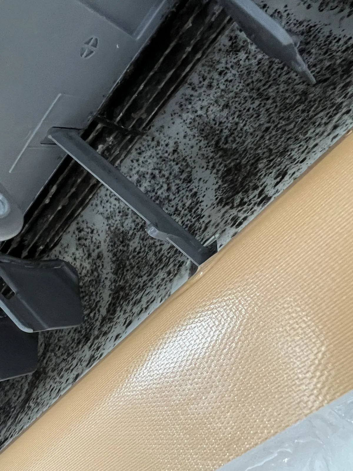 黒カビの付いた送風ファン